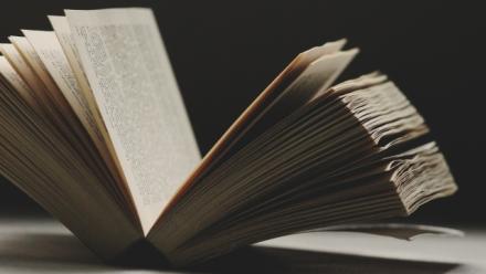 Belief and its Linguistic Representation - Frances Egan
