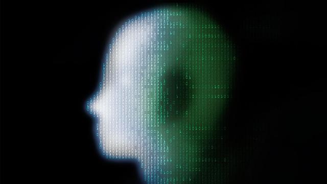 Consciousness in Artificial Intelligence: Insights from the Science of Consciousness