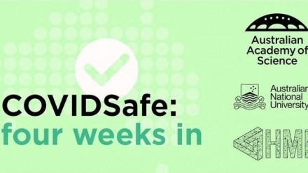 COVIDSafe: Four Weeks In